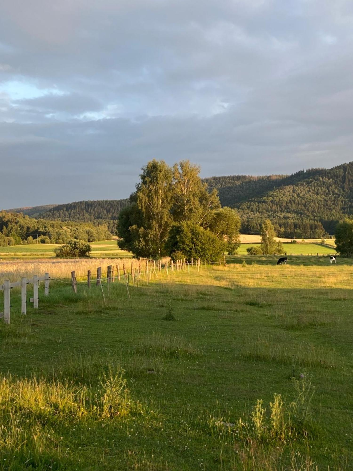 Siedem Lanow Villa Radkow Eksteriør billede