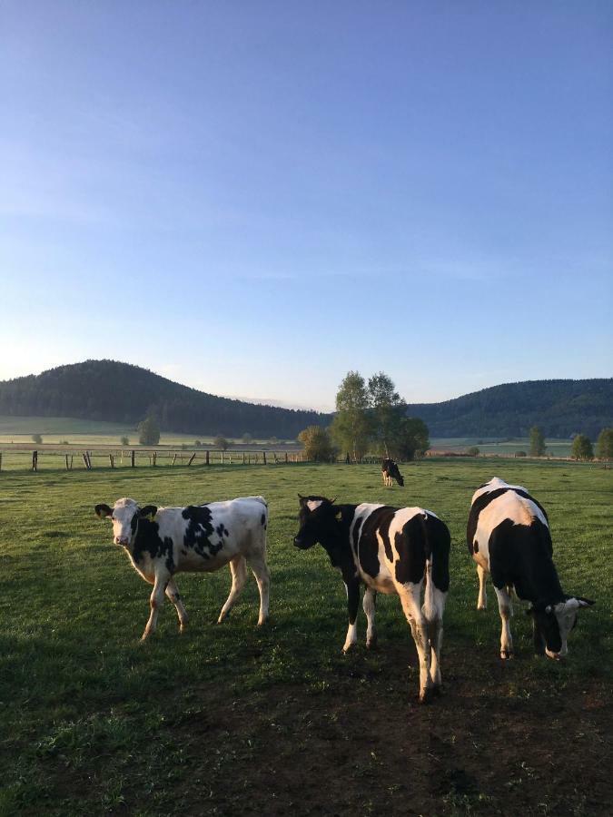 Siedem Lanow Villa Radkow Eksteriør billede
